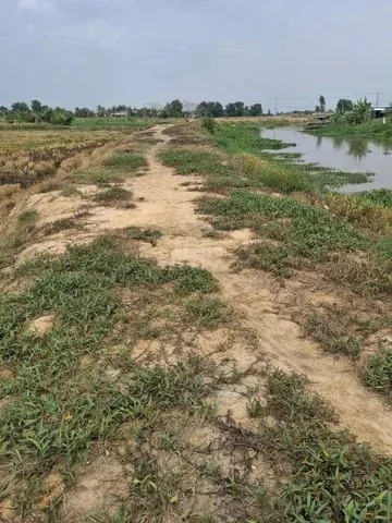 Bán đất 1 ha giá 1,5 tỷ ở Bến Cầu - Tây Ninh