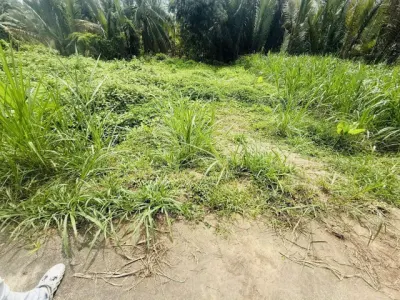 Bán nền thổ cư mặt tiền đường bê tông – xã trung hiệp, vĩnh long diện tích: 𝟏𝟑𝟎,𝟒𝐦² chỉ 210 triệu