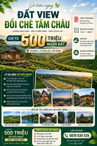 Đất view đồi chè tâm châu – chỉ từ 500 triệu nhận đất