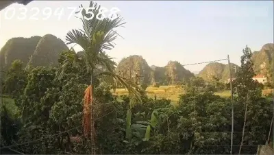 Cho thuê nhà vườn tại xã Lạc Lương (H.Yên Thuỷ, Hoà Bình), nay là Phú Thọ. 032••••88