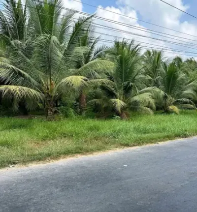 Bán 2430m2 mặt tiền đại mong có sẵn 2200M2 thổ cư, giá 17.9 tỷ