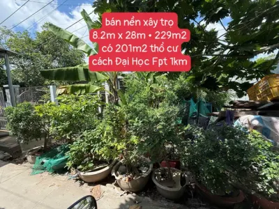 Bán Đất 229m2 xây trọ cách Đại Học FPT 1km - Phường Long Tuyền Quận Bình Thuỷ Cần Thơ