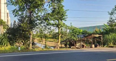 Bán đất vườn rộng mặt tiền quốc lộ 61c Phong Điền, Cần Thơ