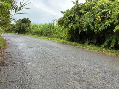 Bán Đất 3100m2 có sẵn 500 m2 thổ cư giá 10 tỷ tại Xã Tân Hòa Thành phố Vĩnh Long Vĩnh Long