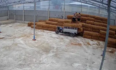 Cho thuê Kho, nhà xưởng 2410m2 giá 25 triệu tại mặt tiền QL60 Huyện Mỏ Cày Nam Bến Tre
