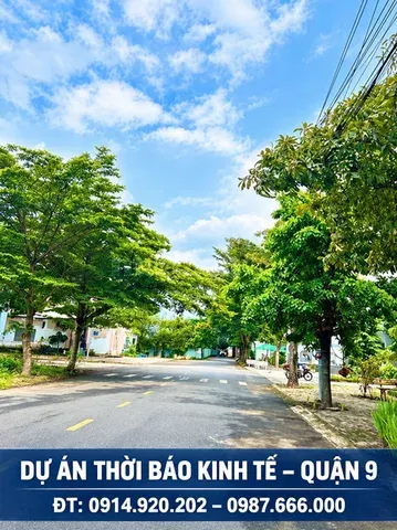 Cần bán đất nền nhà phố lô C, DT 8x20m KDC Thời Báo Kinh Tế, Bưng Ông Thoàn, Phường Long Trường