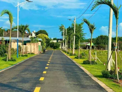 Chỉ 545 là anh chị mình hữu ngay một lô đất