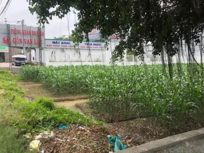 Bán Đất 560m2 giá 2.2 tỷ tại Xã Tân Quới Huyện Bình Tân Vĩnh Long