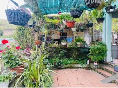 Bán đất diện tích 190M² ngõ 16 cao xanh,hạ long,quảng ninh