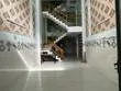 nhà thiết kế 1 lửng 3 lầu đẹp cực kỳ tại hương lộ 2, bình tân
