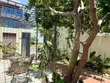 House for rent single -story with garden West Nha Trang 19 million