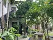 Cho thuê căn hộ 2PN kiểu nhà vườn đường Nguyễn Công Trứ