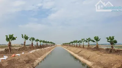 Cty cần bán 4ha đất tái chế mã E38 KCN Nam Định, Đất đóng tiền 1 lần chỉ từ 110 usd /m2.