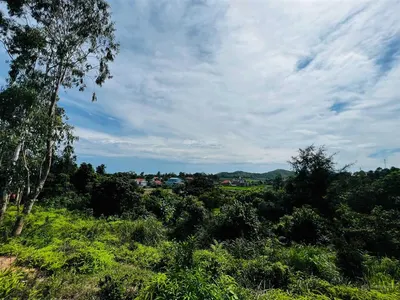 Lô đất rộng đảo vĩnh thực, xây nhà vườn, villa nghỉ dưỡng, homestay