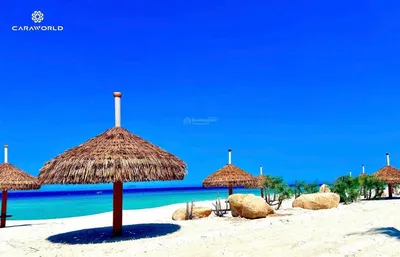 Parasol giá tốt nhất thị trường, đã có sổ, dt 122,4m2, 3 mặt công viên. 0384 909