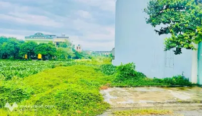Đất vượng khí, vượng tài tại Trái Diêm 1 - Tiền Hải, Thái Bình