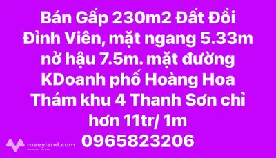 Đất vàng Hoàng Hoa Thám - Mặt tiền kinh doanh, nở hậu đón tài lộc
