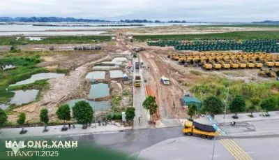 Bán đất mặt đường dự án Hạ Long Xanh, Yên Cư, Đại Yên, Hạ Long
