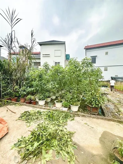 Bán 98m2 đất làng hoa phụng công, mặt tiền hơn 6m