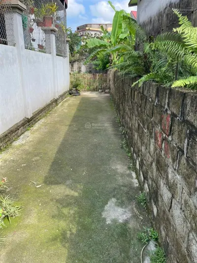 Bán gấp đất tại thôn an thọ, xã thanh tân, kiến xương, thái bình, giá 30 triệu / m2, dt 280 m2