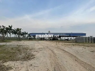 Sang nhượng / cho thuê nhà máy gạch không nung tại bãi sông trà lý - đông hưng, thái bình