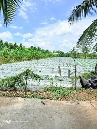 Bán nền mặt tiền Gạch Vinh, diện tích 145m2, giá 1,5 tỷ