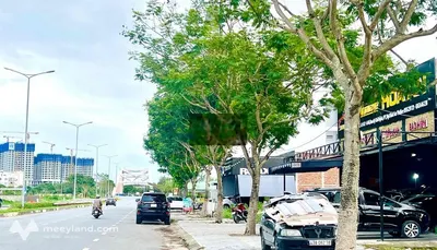 Cho thuê lâu dài 306m2 (12m ngang) đất FPT mặt tiền Nam Kỳ Khởi Nghĩa