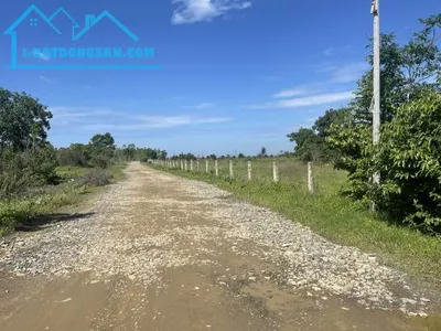 Cho thuê đất cây trồng huyện Hàm Thuận Nam tỉnh Bình Thuận