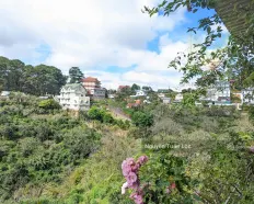 Bán gấp lô đất Khe Sanh, P10, Đà Lạt view rừng thông, 865m2, 22,5tỷ giá tham khảo tốt trong khu vực
