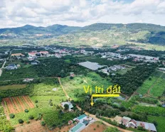 2 tỷ 079 cho lô đất 1190m2 mặt tiền 20 mét, sẵn 430m2 thổ cư, trung tâm xã Đông Thanh