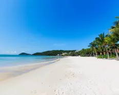 Vườn 1700m2 đường ô tô cách biển Châu Tân đúng 100m xung quanh KS homestay