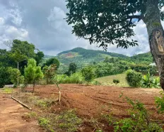 Sổ hồng 560m2, 175m2 thổ cư. Ôm suối Cam Ly, gần chợ Thăng Long