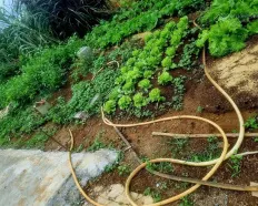 6 triệu/m2 - trung tâm Thành phố Bảo Lộc chính chủ - Gần Tea Resort. Sổ hồng 200m2 thổ cư biệt thự