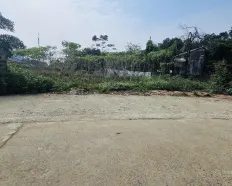 Chính chủ cần bán lô đất dt: 272,7m2 tại Phú Cát, Hà Nội