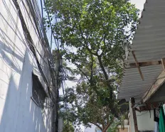 Hàng hiếm ngang 6.3m nở hậu trung tâm du lịch Cầu Rồng Đà Nẵng