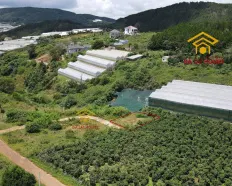Chỉ 3,9 tỷ sở hữu 223m² full thổ cư gần Mây Lang Thang đất đẹp nở hậu, view thoáng