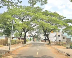 CC gửi bán lô đất 5.07m nở hậu 5.24mx16.36m hẻm 12m có vỉa hè, cây xanh đường Lê Thị Riêng Q12