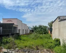 1Tỷ2 Hiếm có! Bán đất mặt tiền Nguyễn Kim Cương, Củ Chi 500m2 (ngang 10x50)m. Sổ hồng riêng