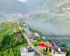 Đất view thung lũng rừng thông vĩnh viễn Hoàng Hoa Thám, P10, Đà Lạt 245m2, ngang 16 mét