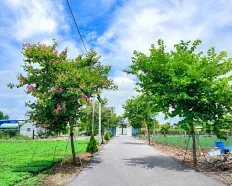 500m2 đất gần sân bay Liên Khương - rẻ chỉ 1/2 giá khu vực - 1 lô