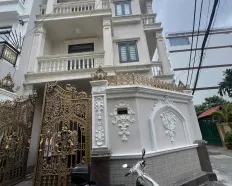 Biệt thự mini full nội thất mới tại P. Phú Thuận Hồ Chí Minh