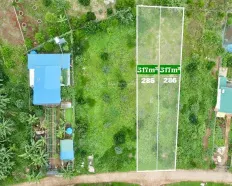 Đất xã Nam Hà sẵn 105m2 thổ cư, diện tích 317m2 chỉ 550 triệu gần chùa Linh