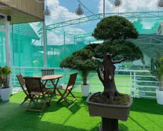 Đất - Mặt tiền KQH - Sổ riêng - đường Yersin, Phường 9, Đà Lạt, đường trước nhà 7m