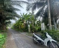 715m2 có 369m2 thổ cư đường xe tải xã Lê Minh Xuân Bình Chánh