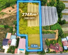 Đất mặt tiền đường Đa Phú, phường Lang Biang - Đà Lạt, Lâm Đồng. Thuận tiện kinh doanh du lịch.