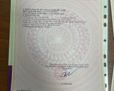 Đất thổ cư KDC HXH ấp 4 Đông Thạnh - Hóc Môn - Giá tốt