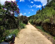 505m2 Đất view đẹp Khe Sanh 3 tỷ 950 triệu