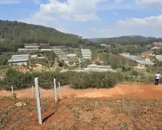 Bán đất view thung lũng view thông khu Măng Ling 212m2 giá tốt chỉ 4,550 tỷ thương lượng