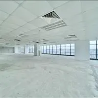 Deal siêu cháy! Tòa nhà hạng A, view sông Hàn giá chỉ 10 USD chỉ dành cho khách hàng của Mizuland