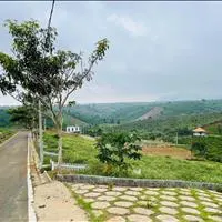 [HOT] Duy nhất còn 1 lô tại NaLi Chill - Homestay and BBQ giá bán chỉ 850TR